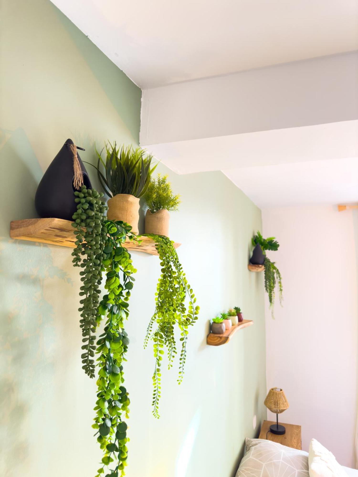 Le Patio ※ Carnot Apartment Carcassonne Bagian luar foto